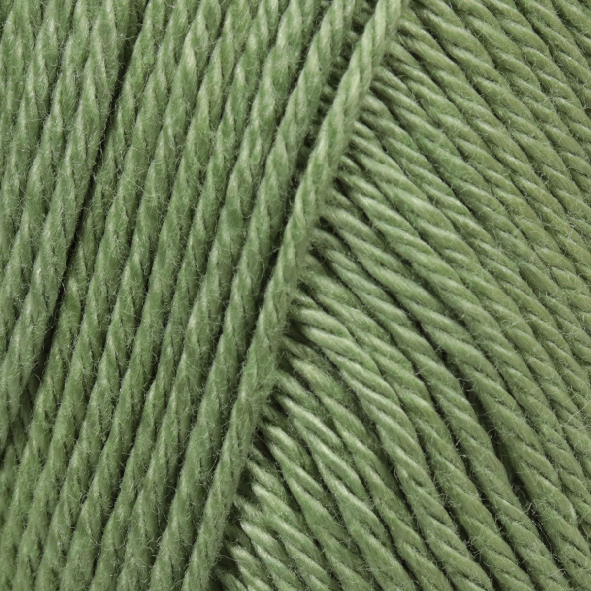 Camilla Hand Knitting Yarn Soft Green - Kristal Wool